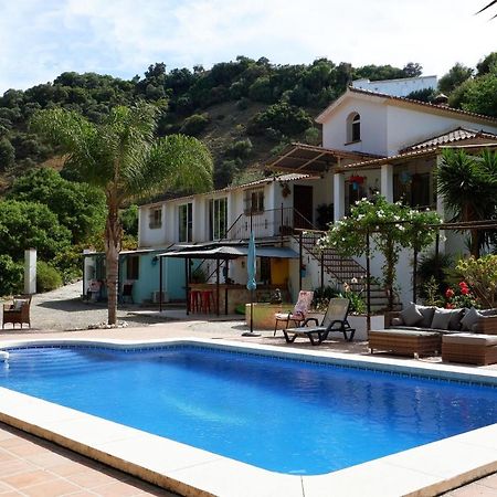 Vegan Guesthouse Finca Pereila Coín Exteriér fotografie
