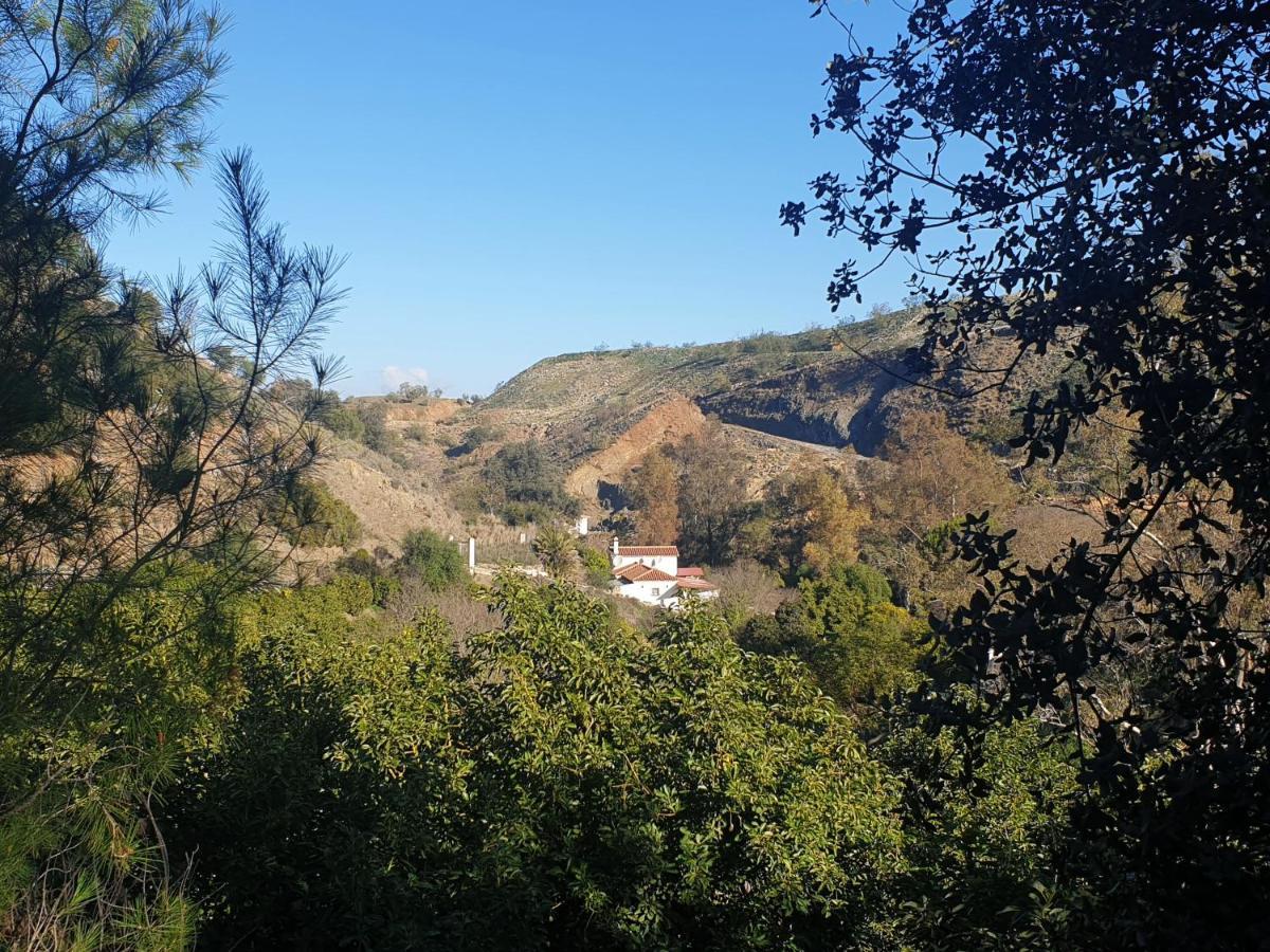 Vegan Guesthouse Finca Pereila Coín Exteriér fotografie