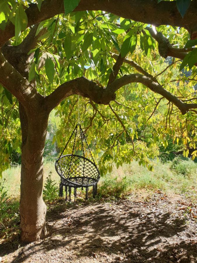 Vegan Guesthouse Finca Pereila Coín Exteriér fotografie